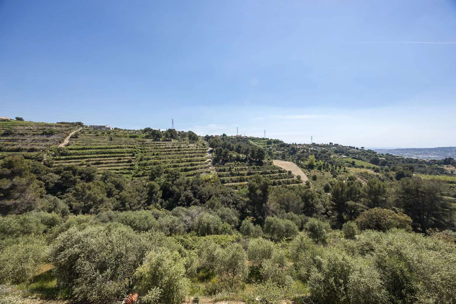  for sale villa Nice Alpes-Maritimes 4