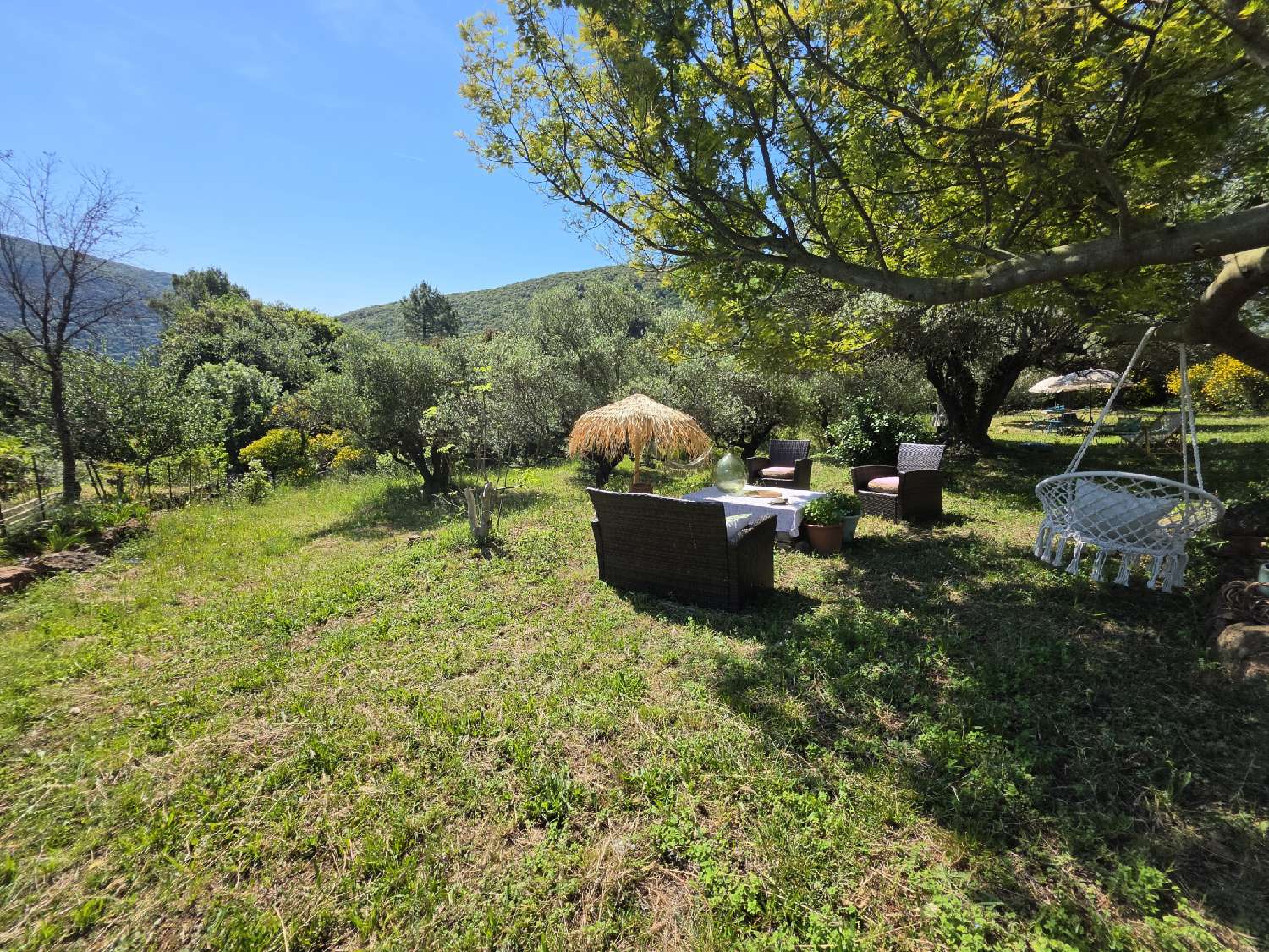 te koop villa Olmet-et-Villecun Hérault 3