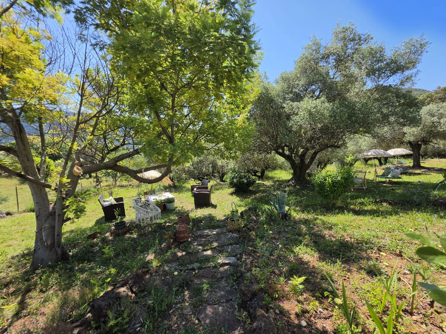 te koop villa Olmet-et-Villecun Hérault 4