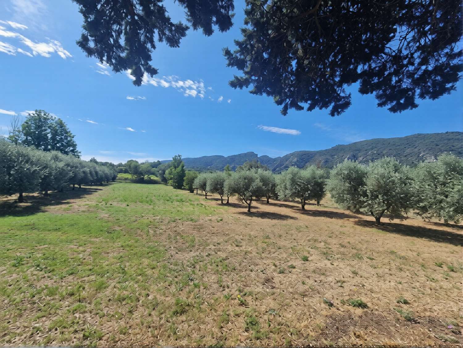  te koop villa Oppède Vaucluse 4