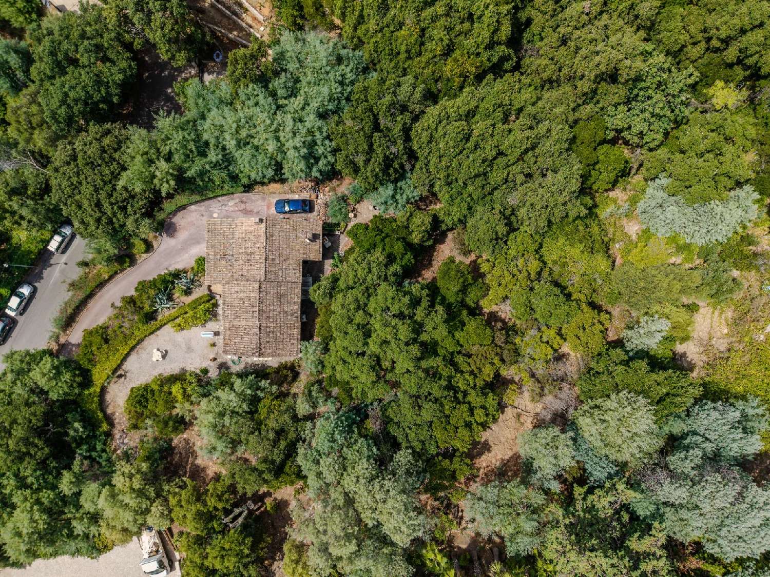  kaufen Villa Rayol-Canadel-sur-Mer Var 3