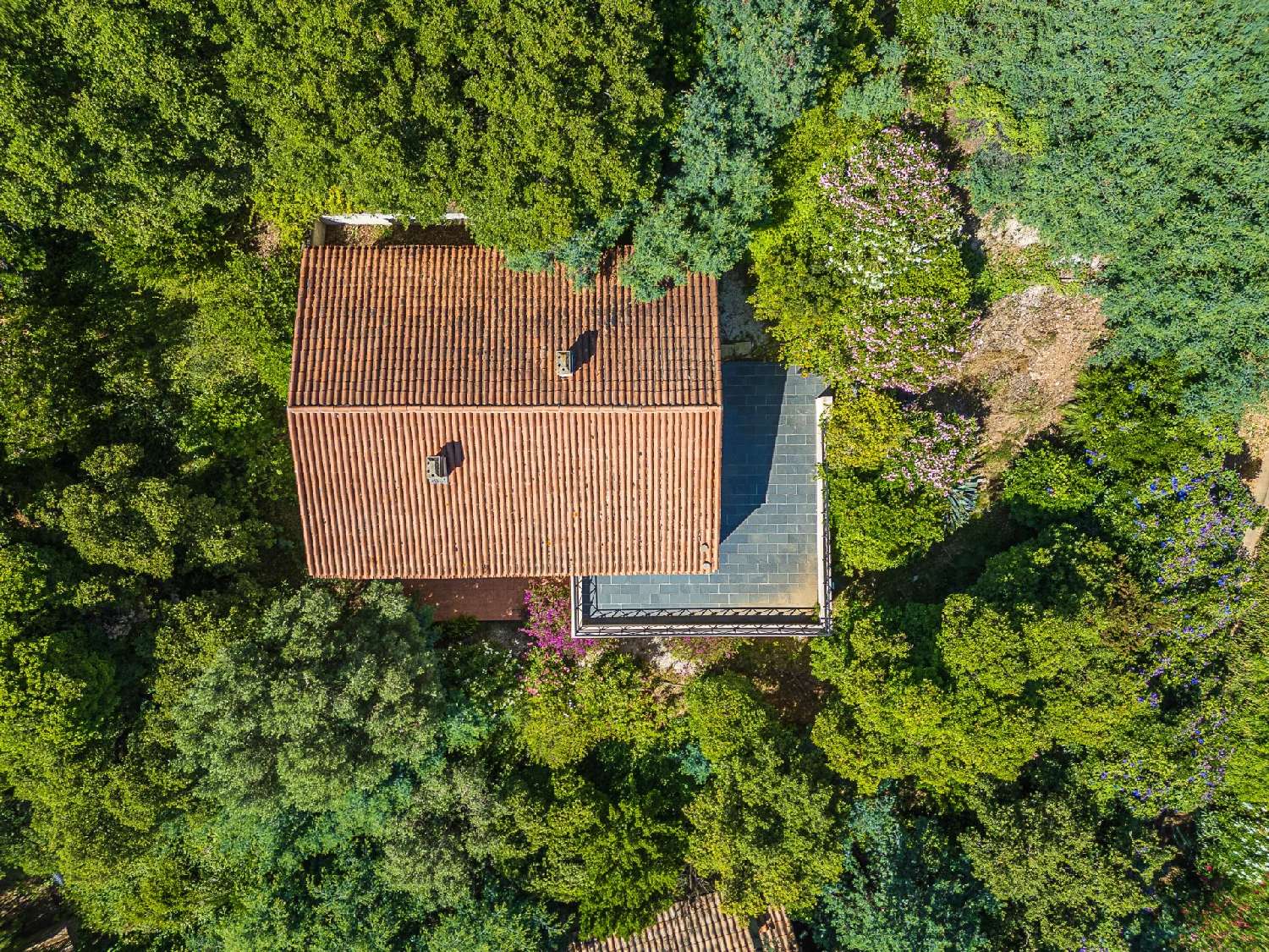 à vendre villa Rayol-Canadel-sur-Mer Var 4