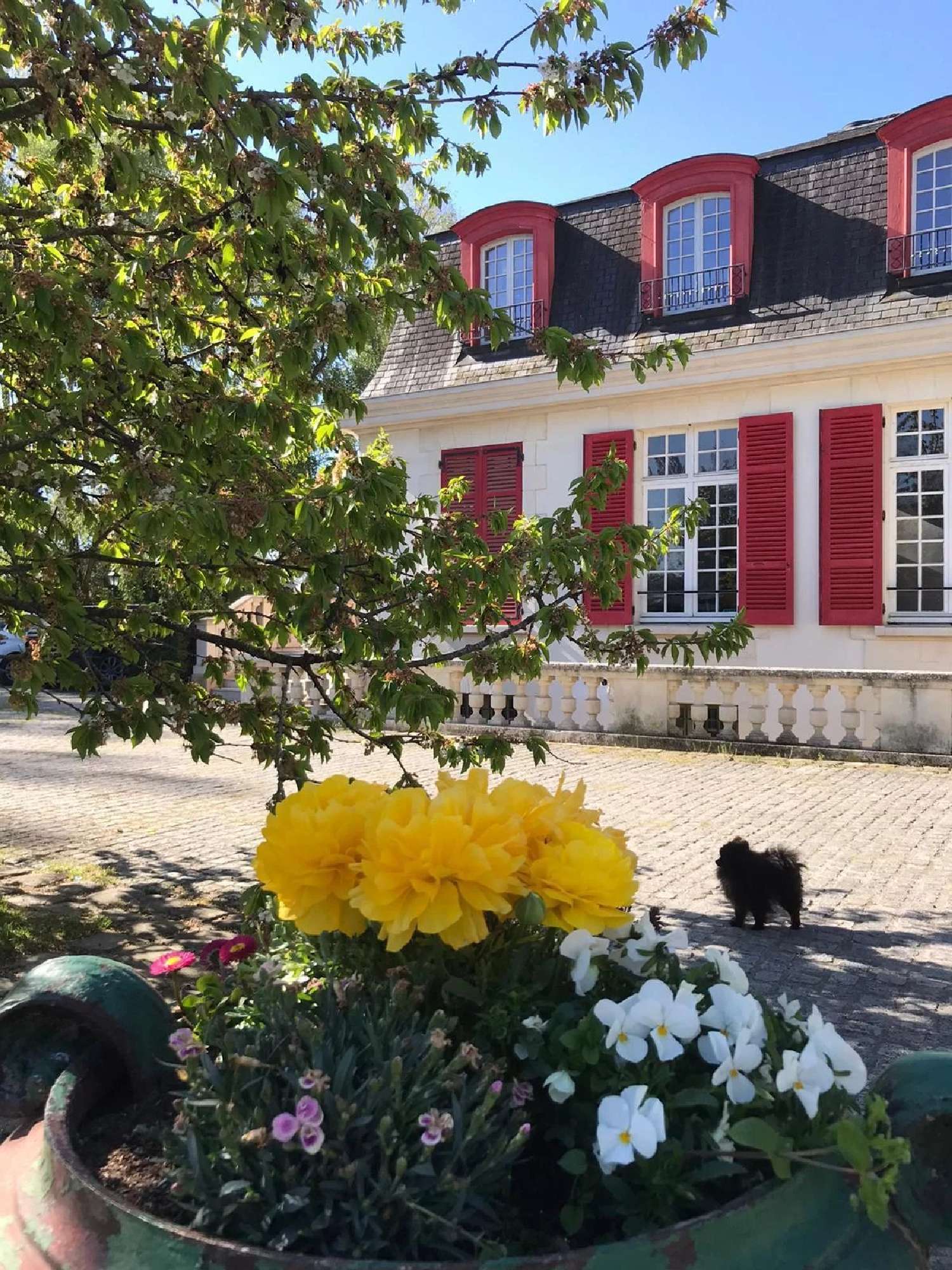  for sale villa Saint-Martin-en-Bière Seine-et-Marne 4