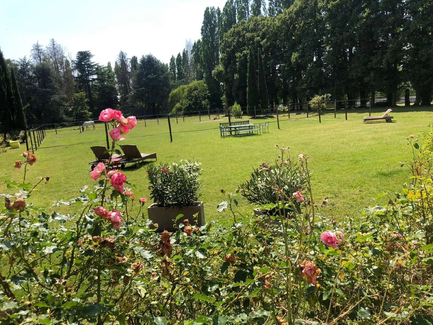  for sale villa Saint-Martin-en-Bière Seine-et-Marne 5