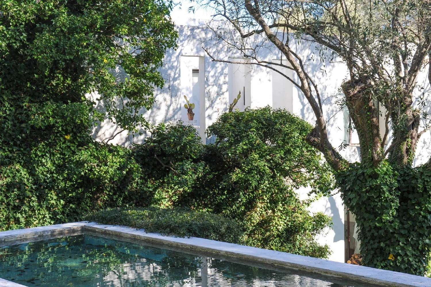 en venta villa Saint-Paul Alpes-Maritimes 1