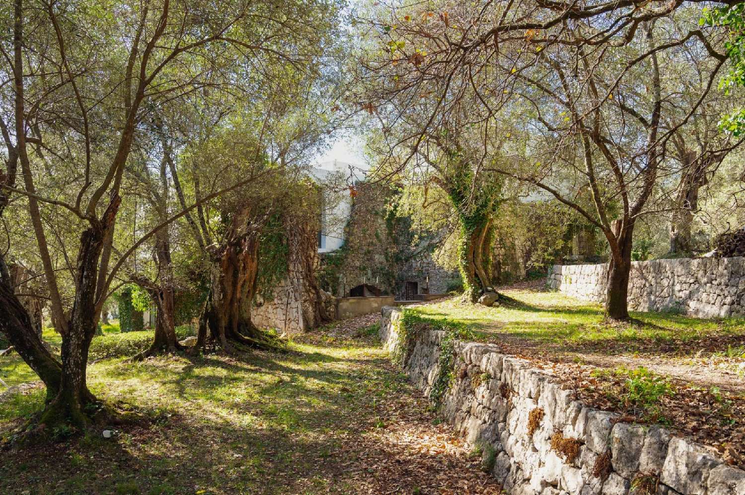 en venta villa Saint-Paul Alpes-Maritimes 5