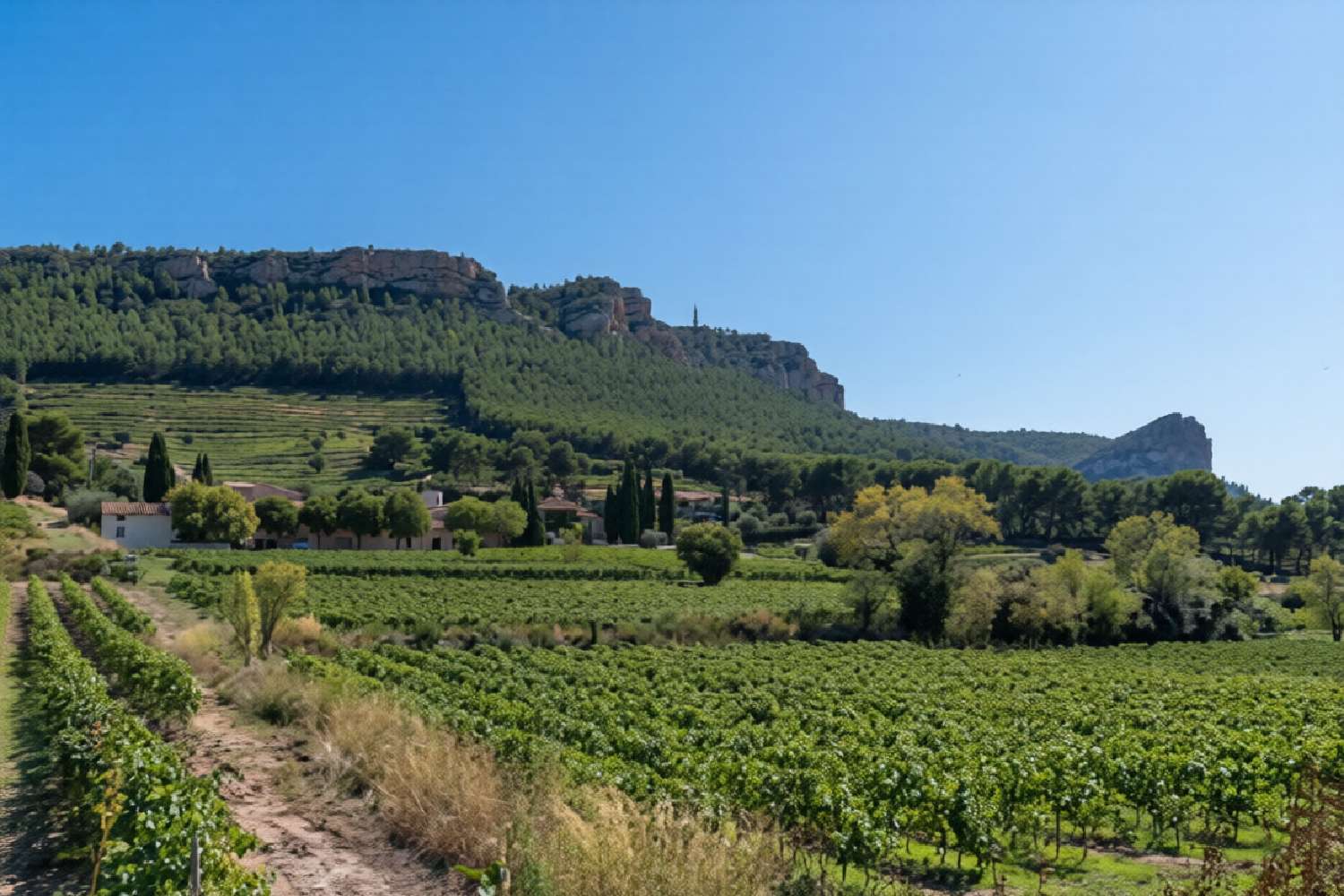 te koop villa Saint-Pierre-du-Bû Calvados 4