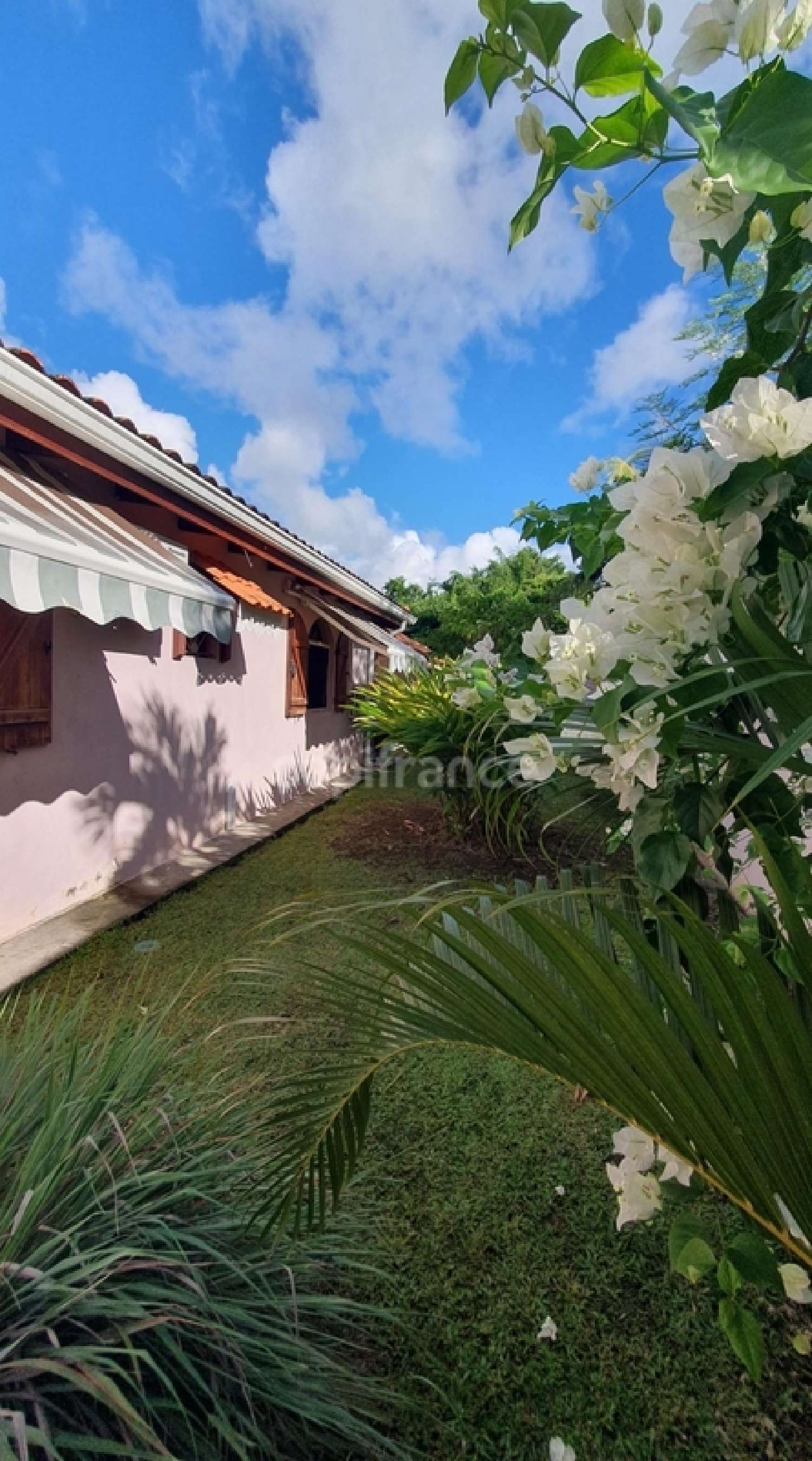  en venta villa Sainte-Luce Martinique 8