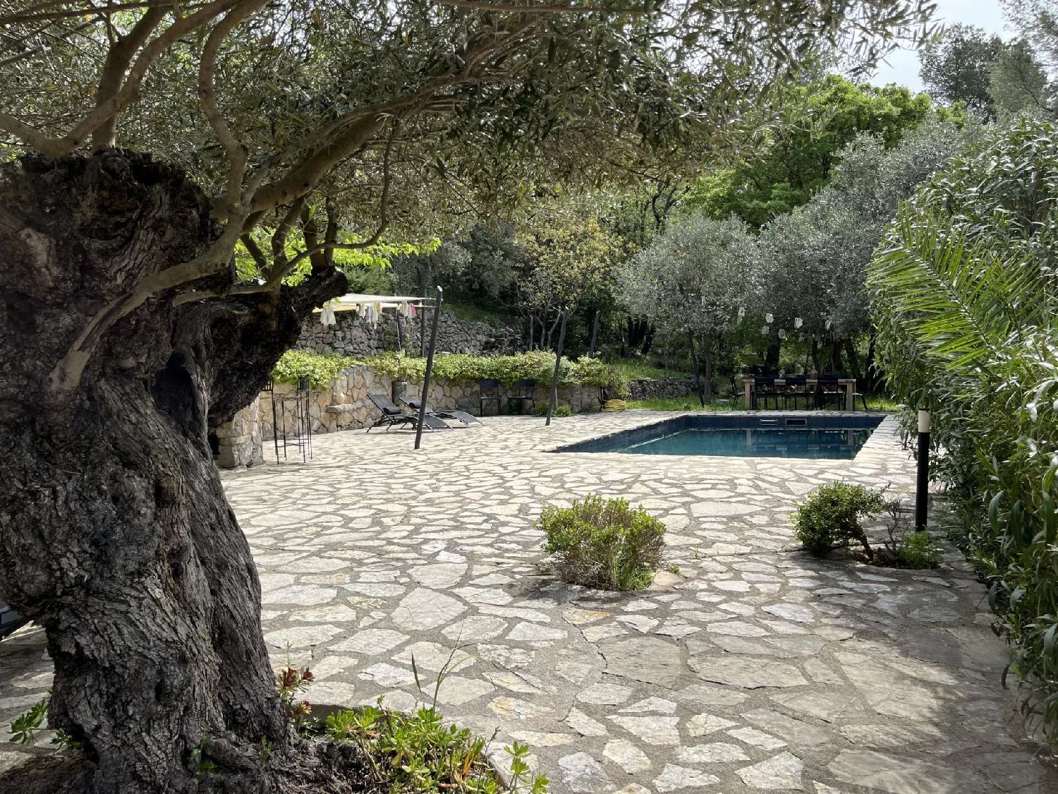  en venta villa Seillans Var 6