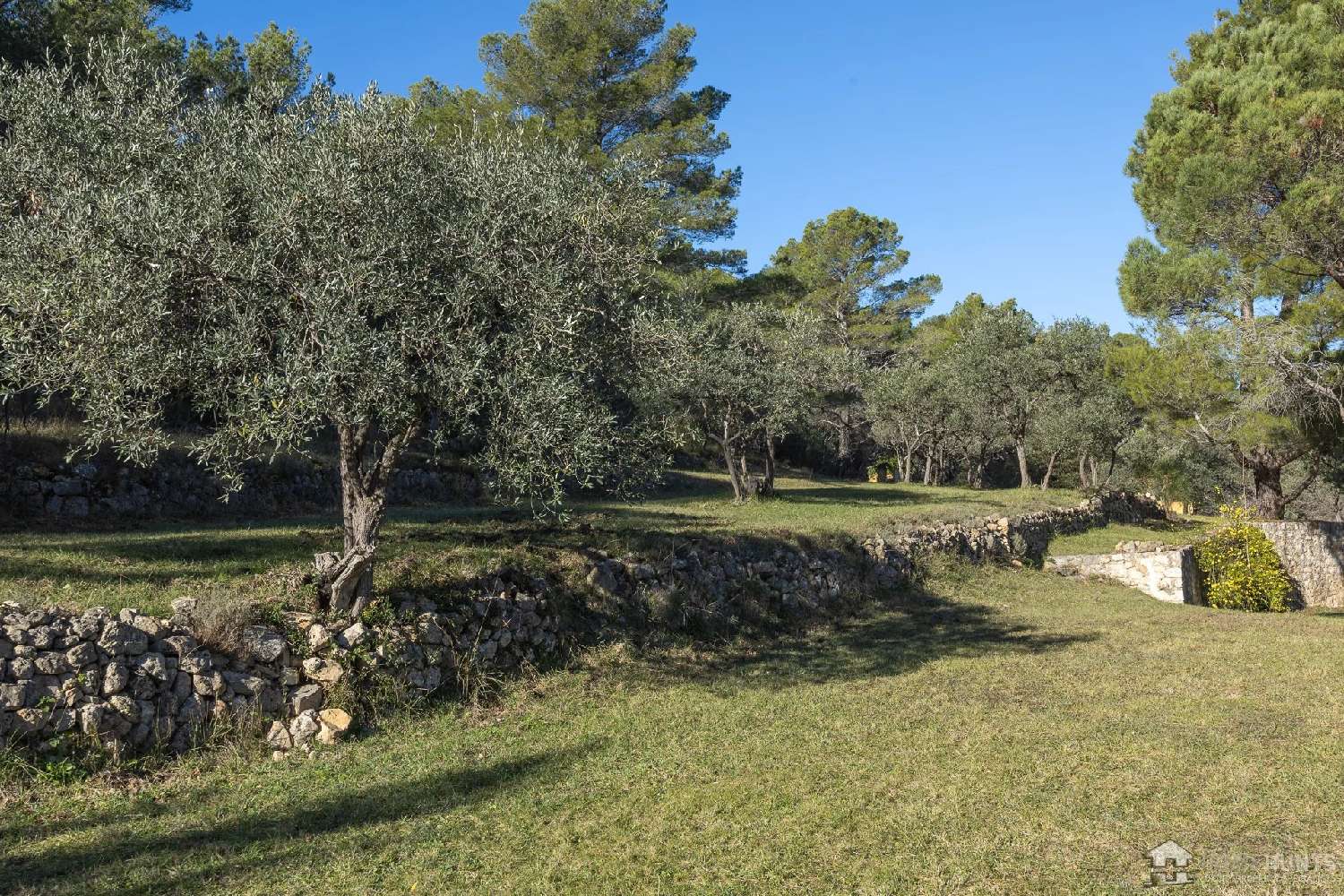  for sale villa Seillans Var 7