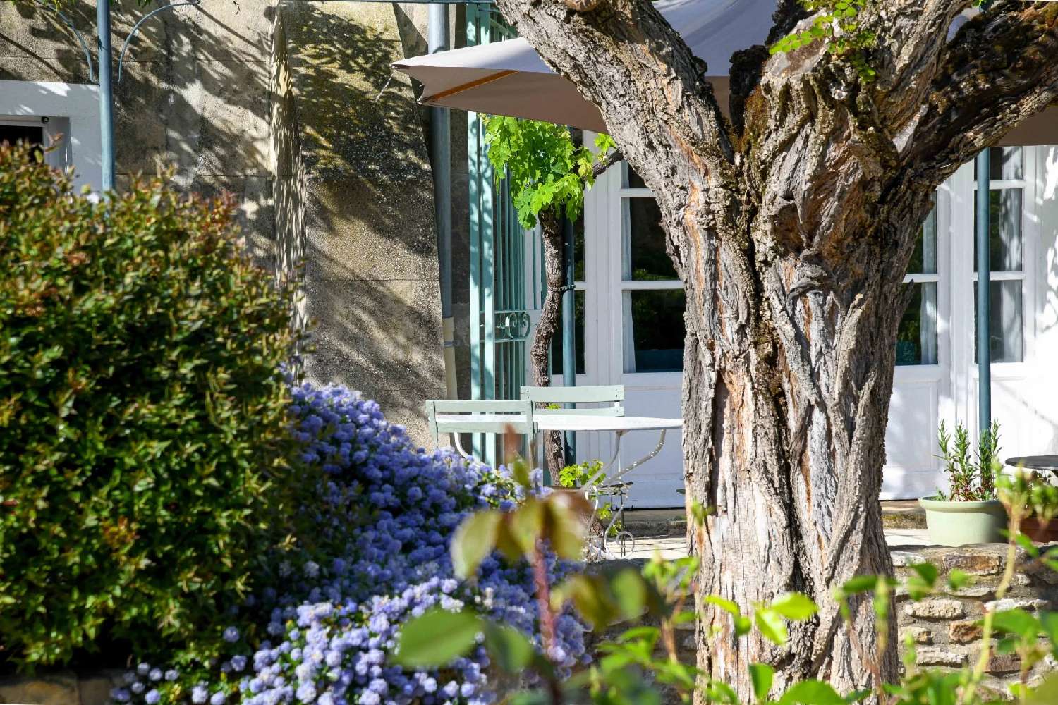 en venta villa Uzès Gard 8