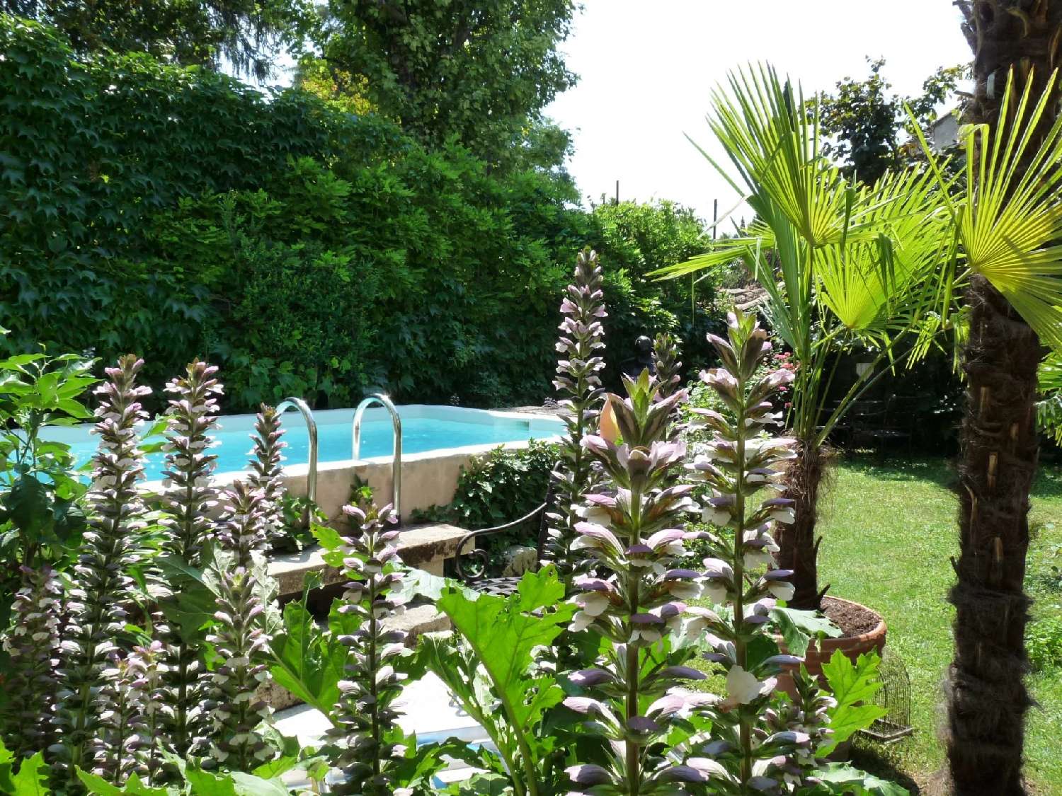  à vendre villa Vaison-la-Romaine Vaucluse 3