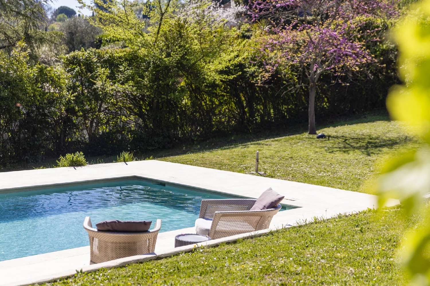  for sale villa Valbonne Alpes-Maritimes 6