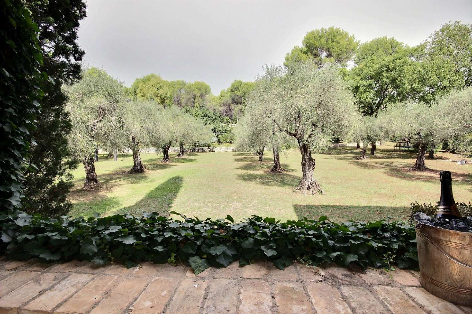  à vendre villa Valbonne Alpes-Maritimes 3