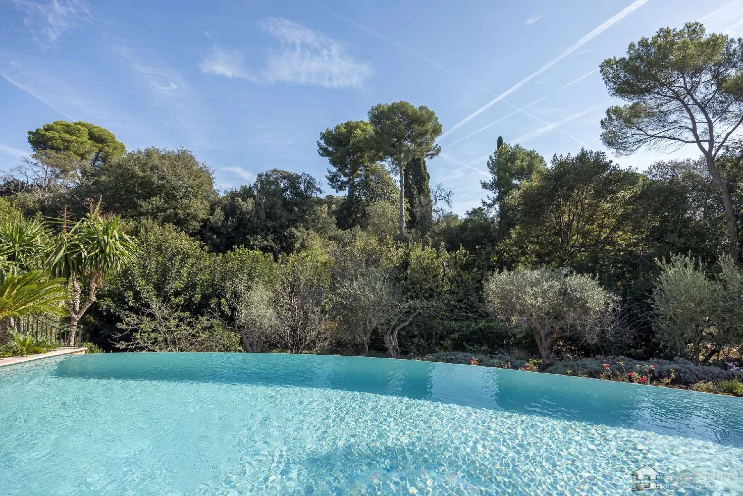  à vendre villa Vallauris Alpes-Maritimes 3