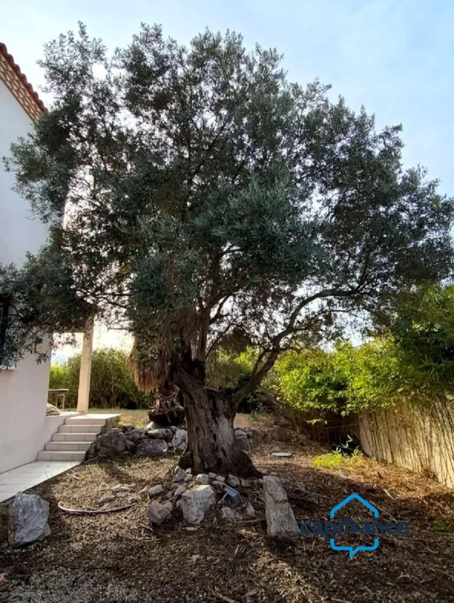  en venta villa Vic-la-Gardiole Hérault 7