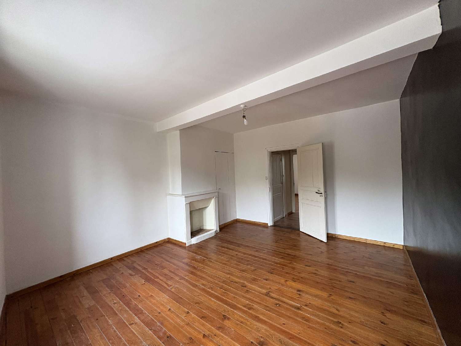 à vendre villa Villasavary Aude 6