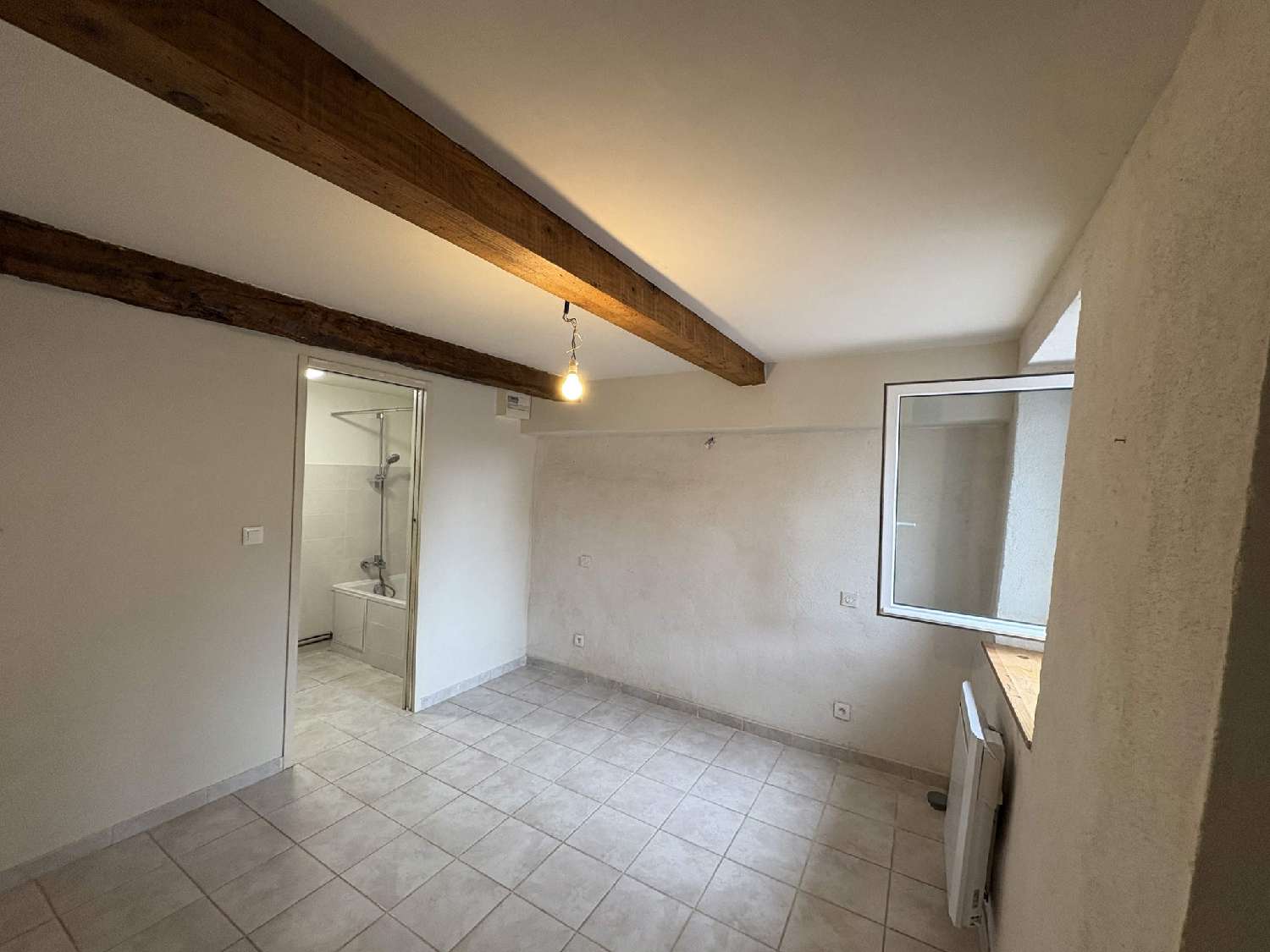 à vendre villa Villasavary Aude 8