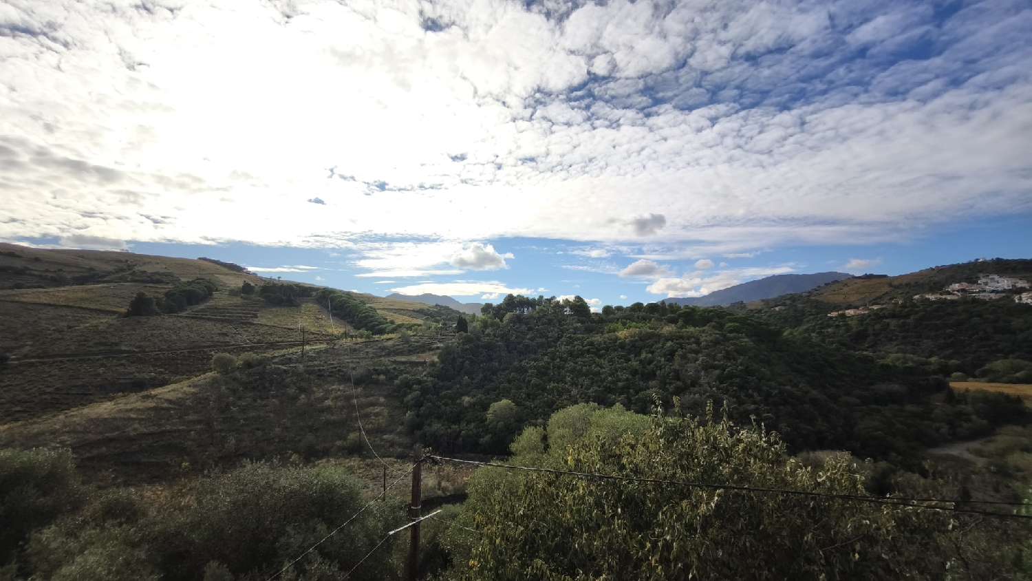  à vendre maison de village Banyuls-sur-Mer Pyrénées-Orientales 4