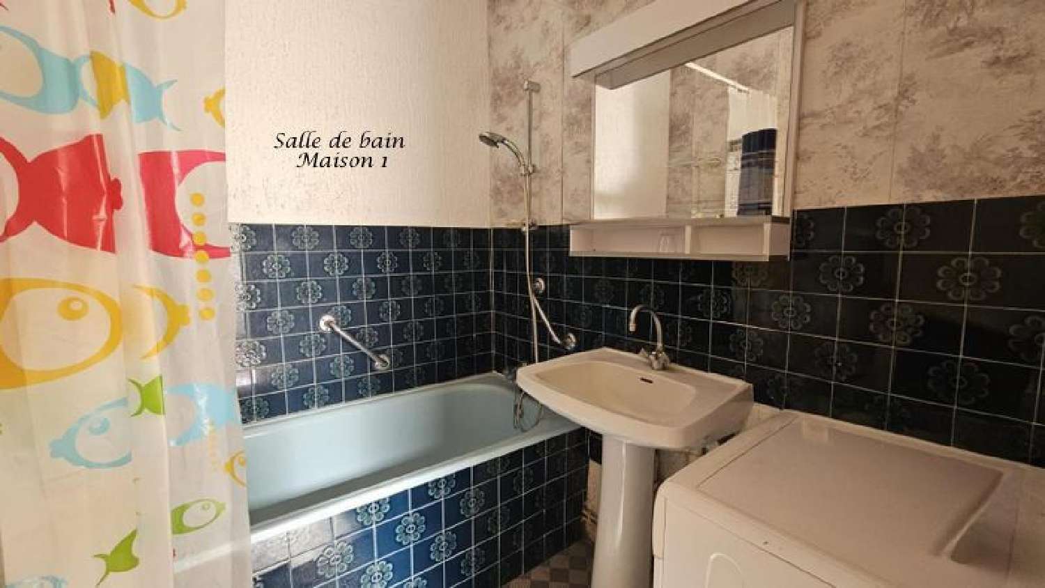  te koop dorpshuis Genneteil Maine-et-Loire 8