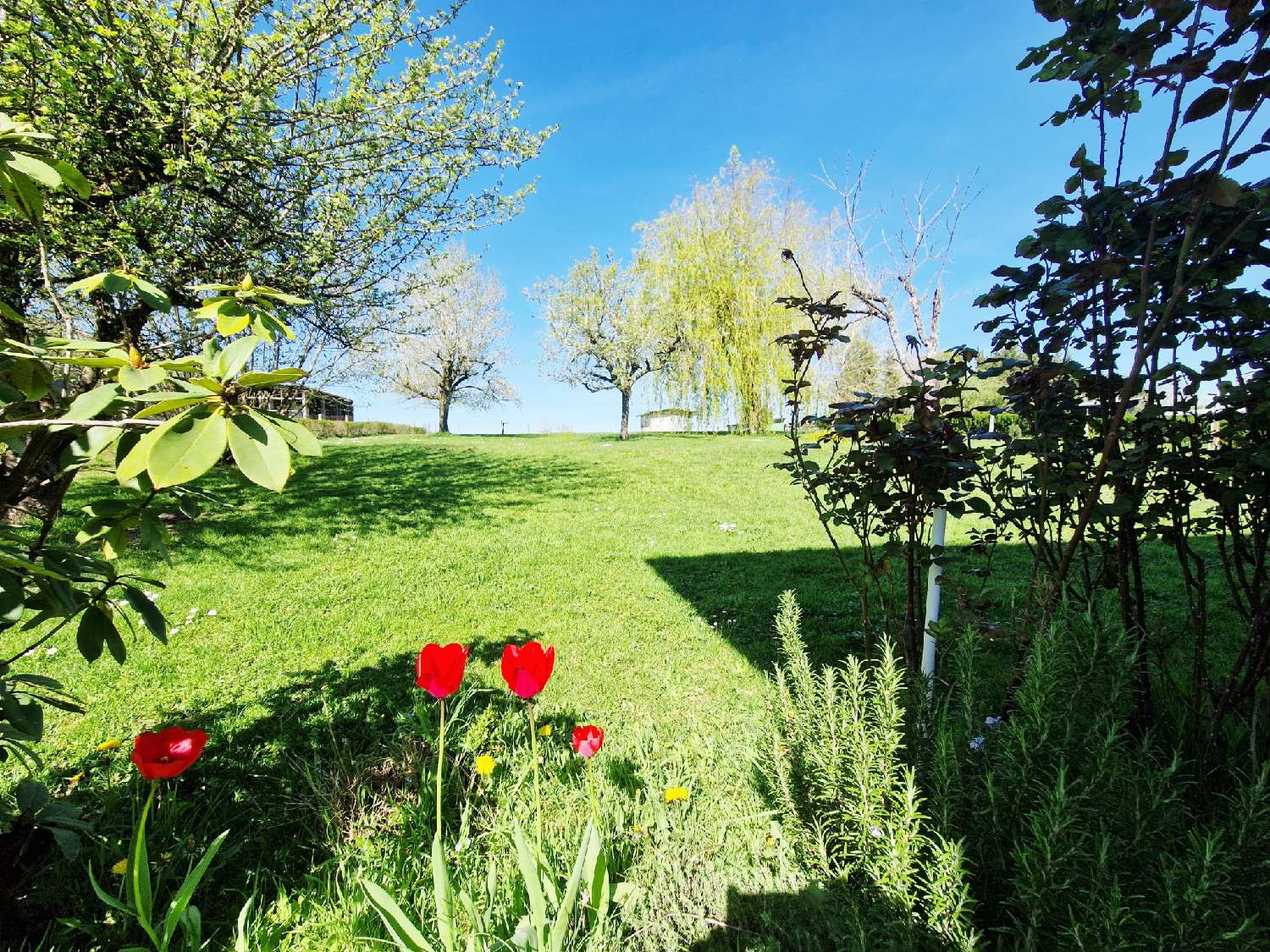  te koop dorpshuis Guyonvelle Haute-Marne 2
