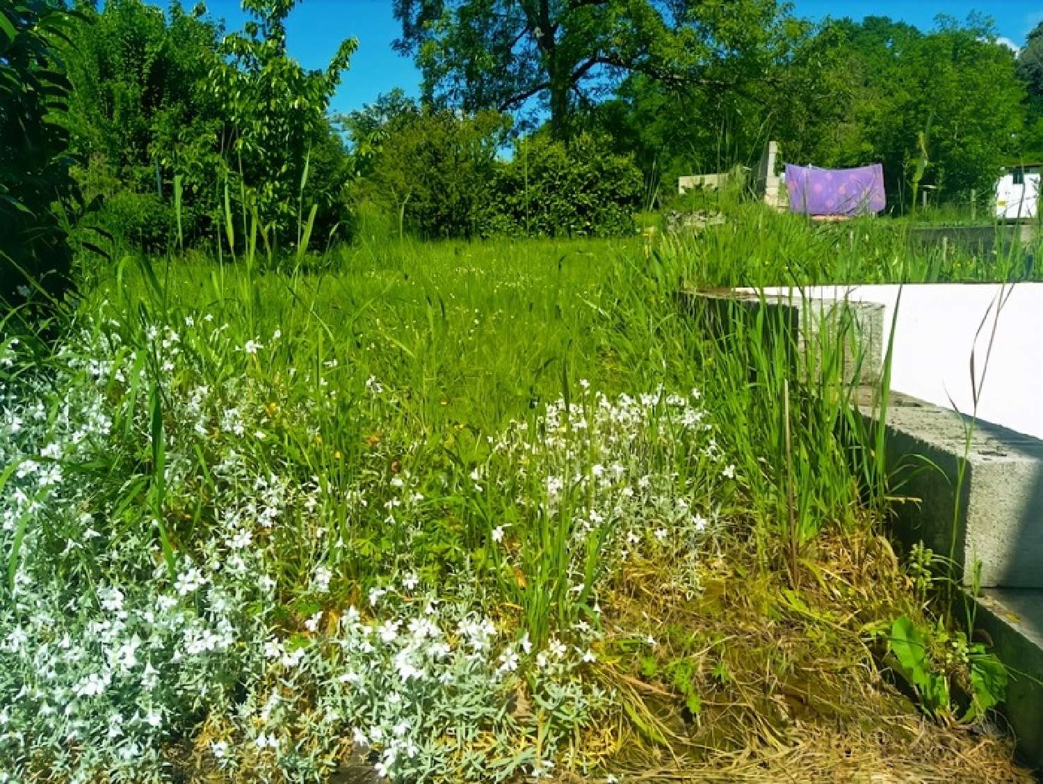 for sale village house Pisseloup Haute-Marne 3