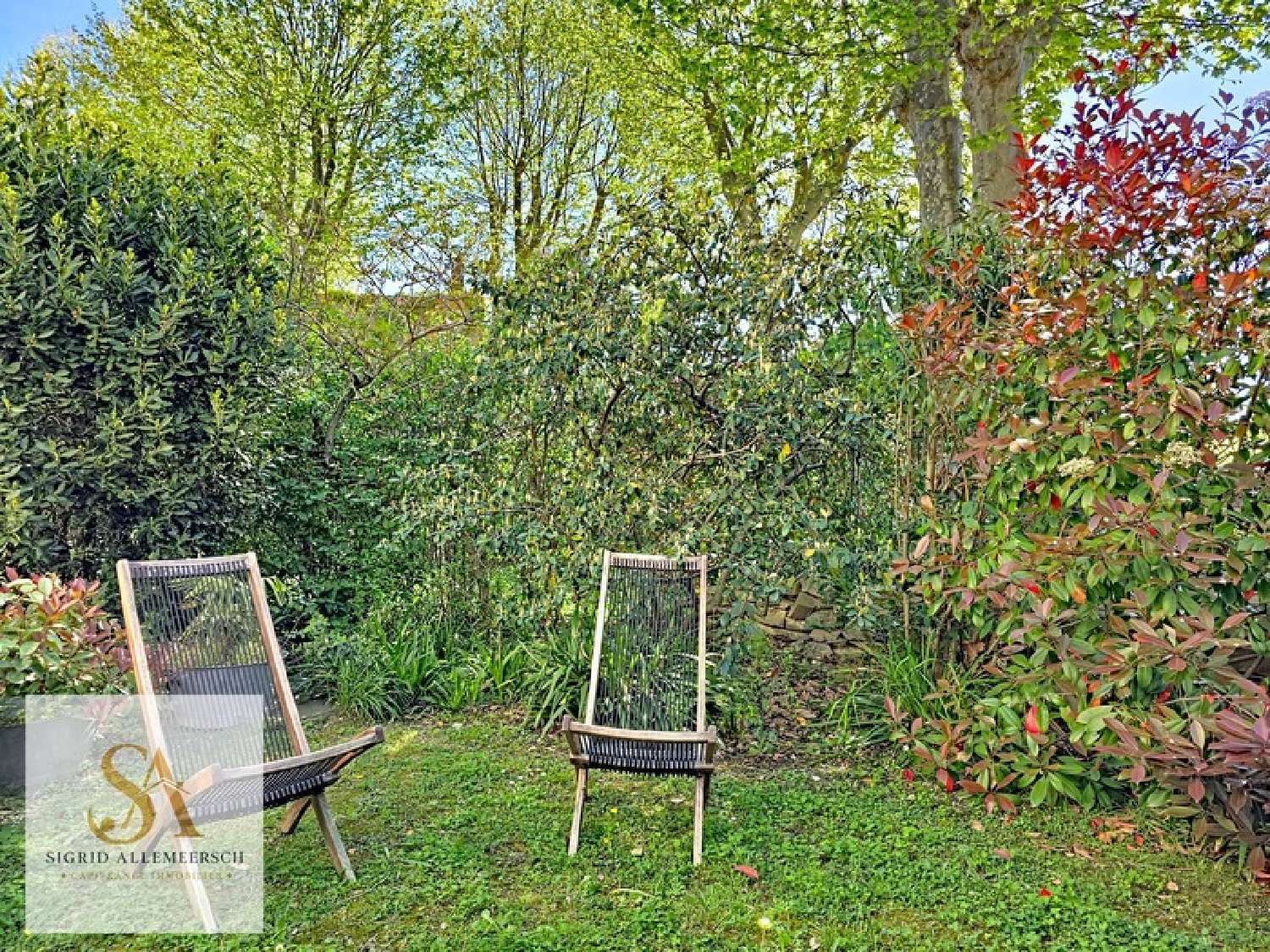  for sale village house Rieux-en-Val Aude 2