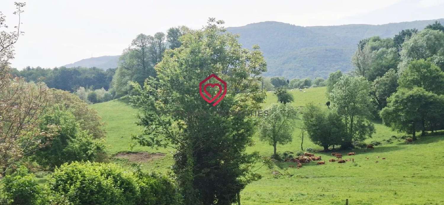  à vendre maison de village Serres-sur-Arget Ariège 3