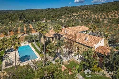 Bandol Var vineyard foto 7327852