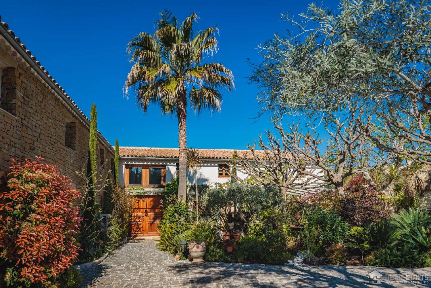  for sale vineyard Bandol Var 6