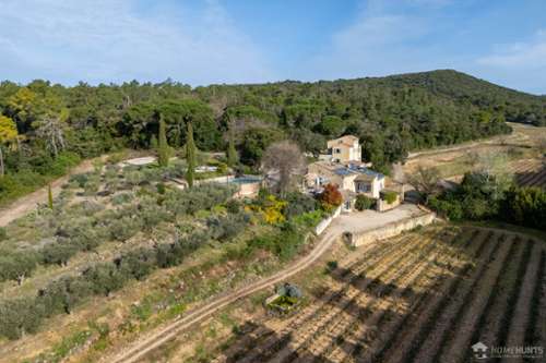 Codolet Gard vineyard foto 7327652