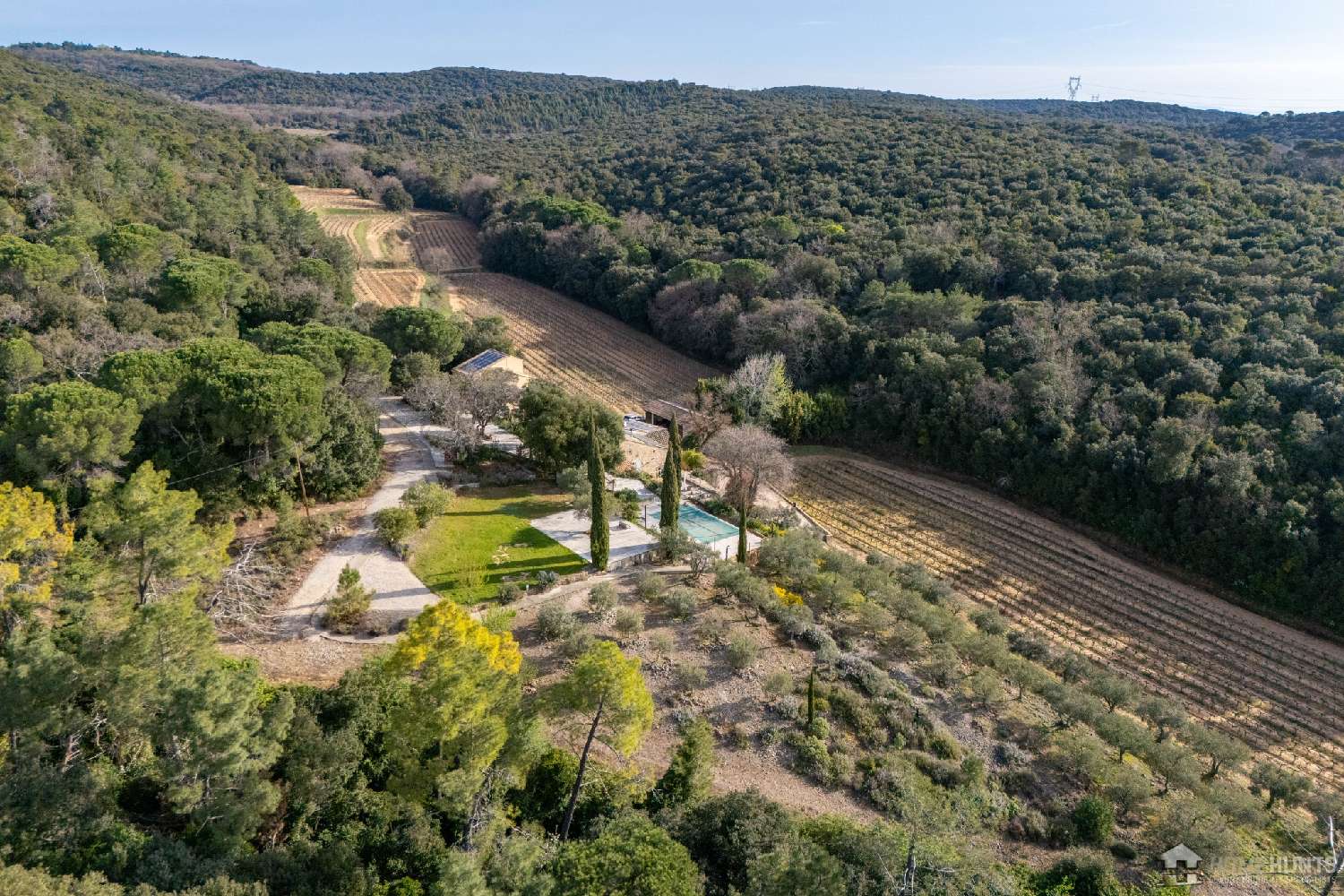  for sale vineyard Codolet Gard 2