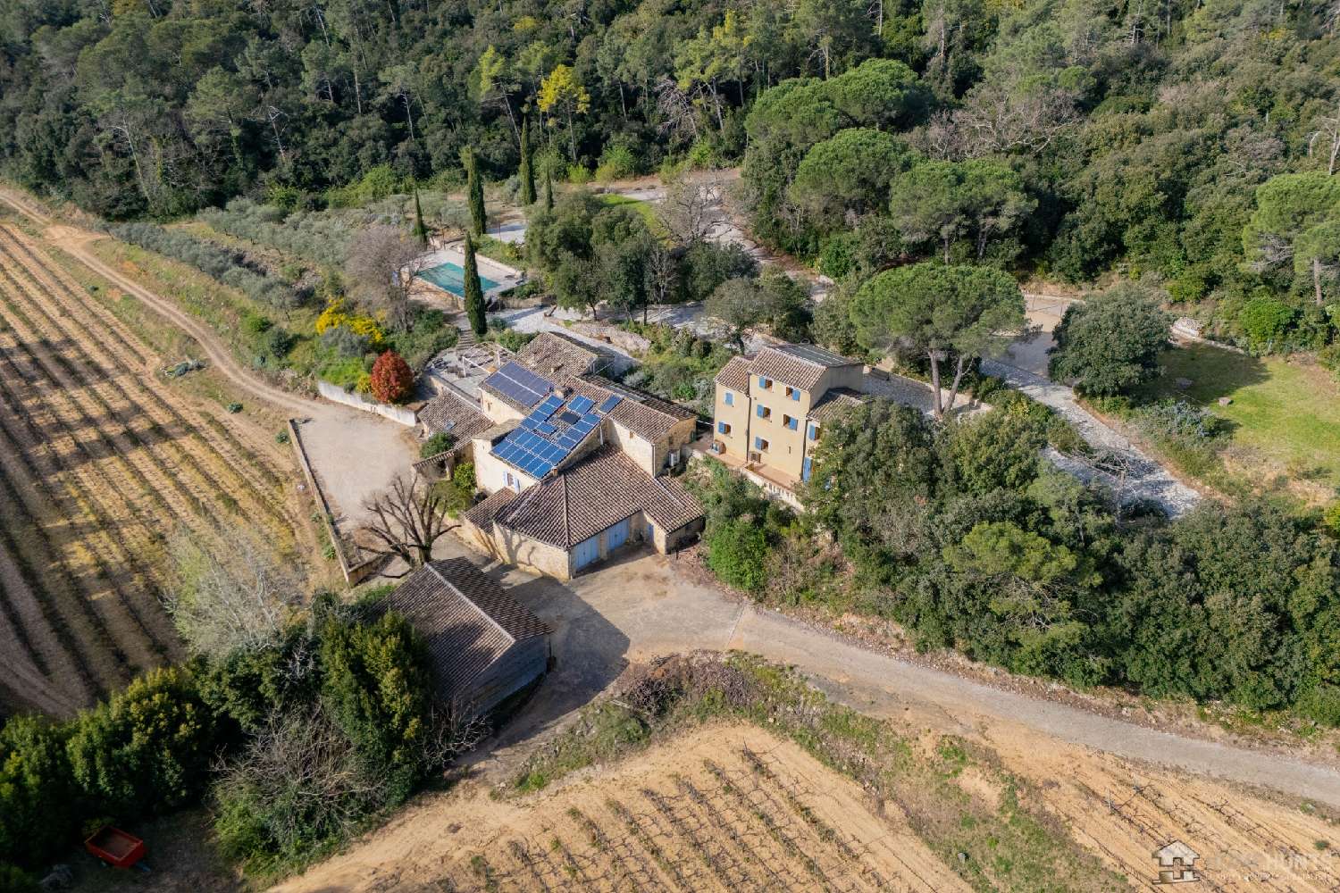  for sale vineyard Codolet Gard 3