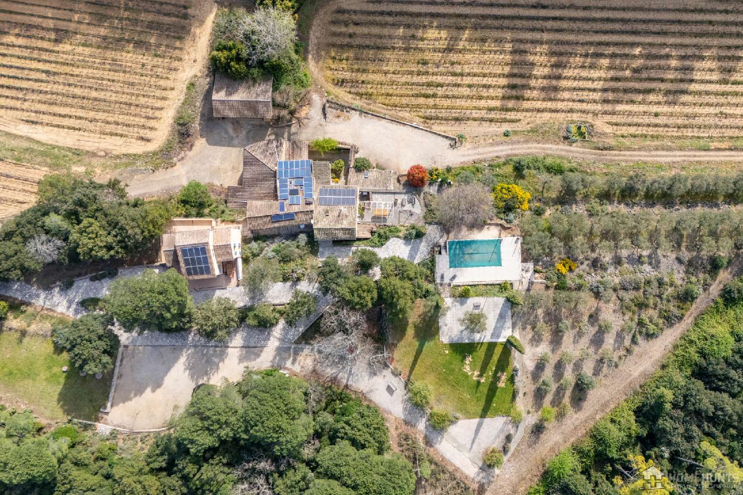  for sale vineyard Codolet Gard 4