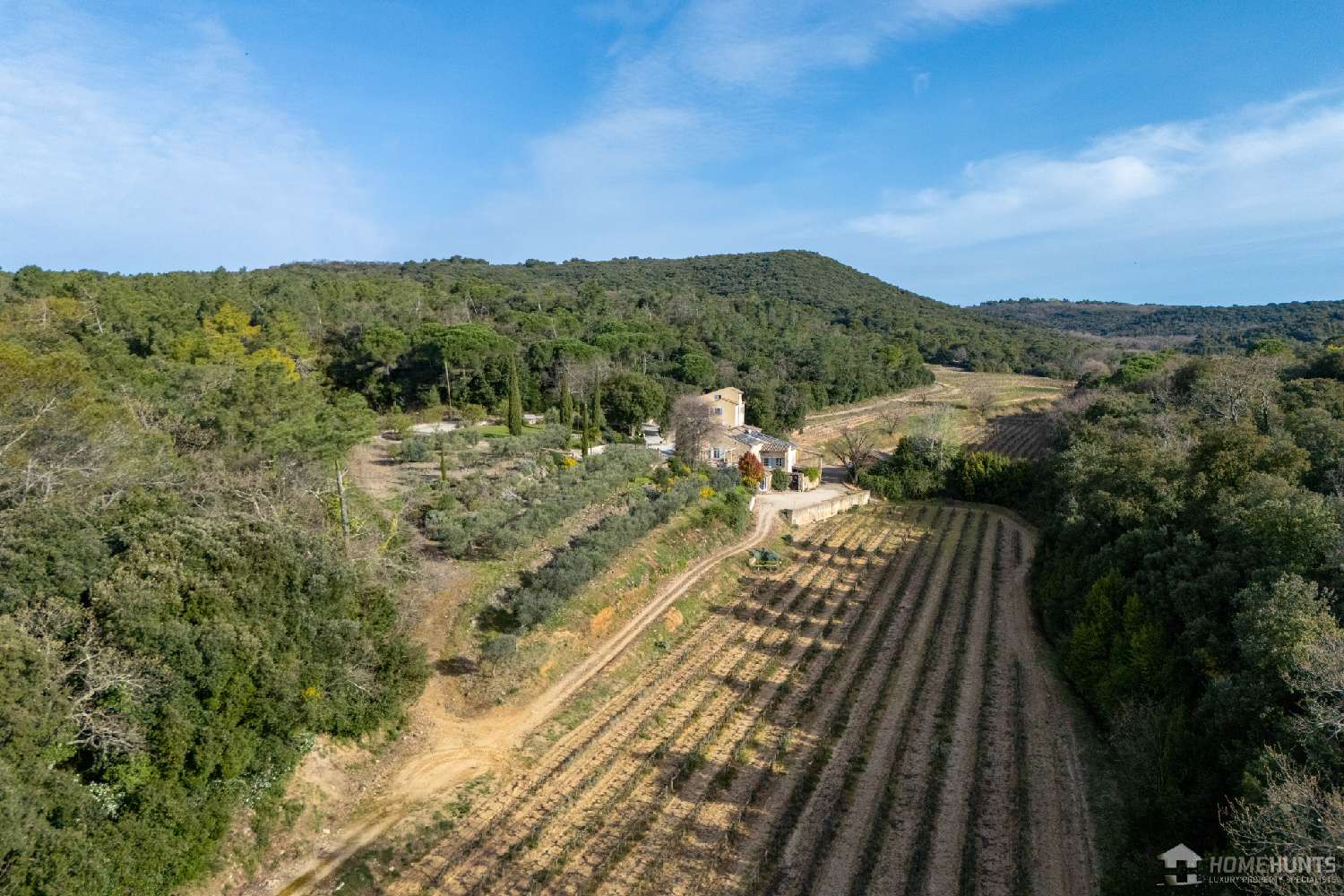  for sale vineyard Codolet Gard 6