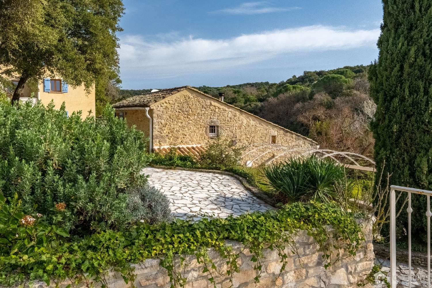  for sale vineyard Codolet Gard 8