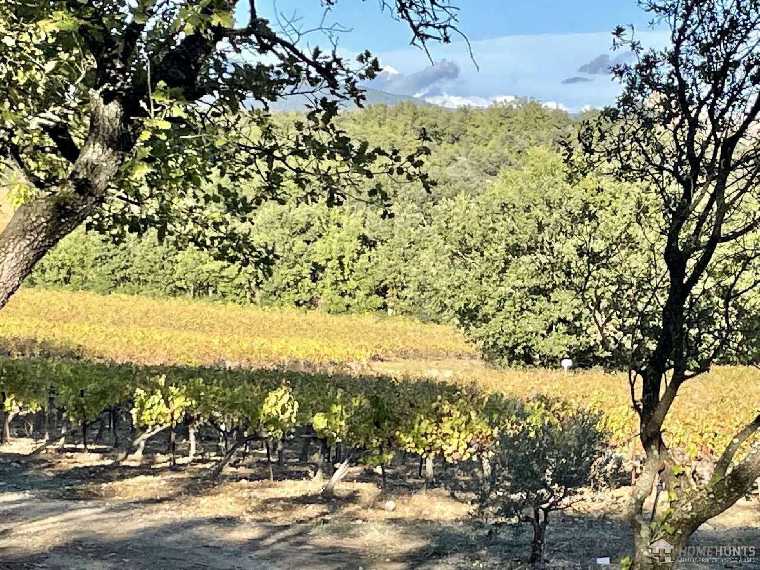  en venta viñedo Villelaure Vaucluse 2
