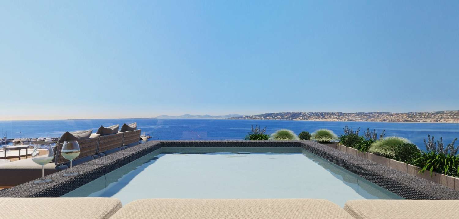 te koop appartement Antibes 06160 Alpes-Maritimes 2