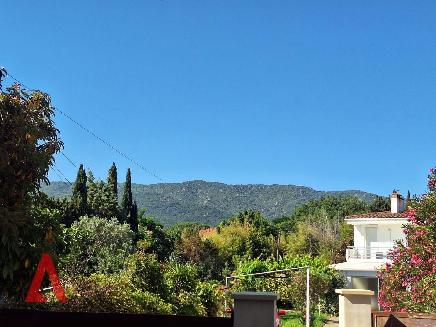 te koop appartement Argelès-sur-Mer Pyrénées-Orientales 1