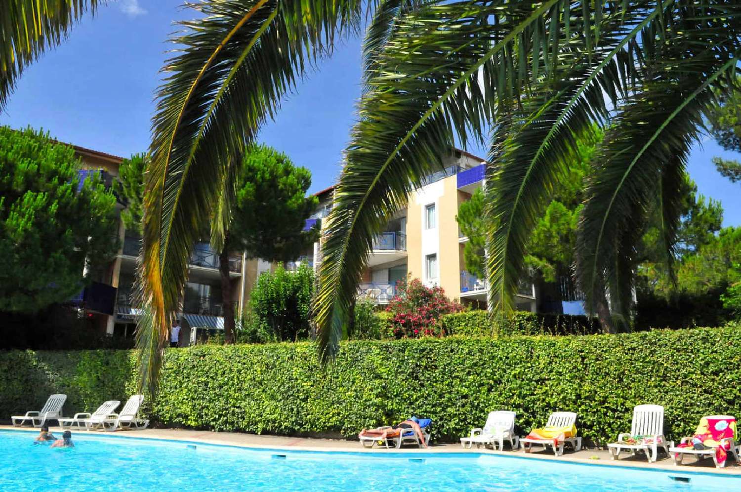  te koop appartement Balaruc-les-Bains Hérault 1