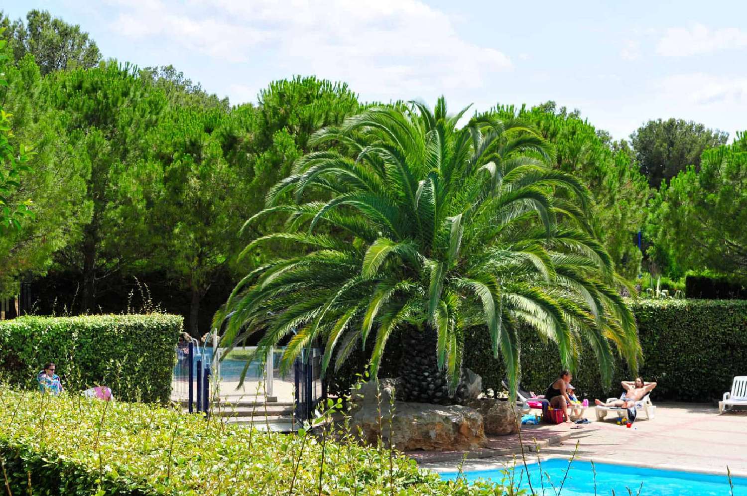  te koop appartement Balaruc-les-Bains Hérault 4