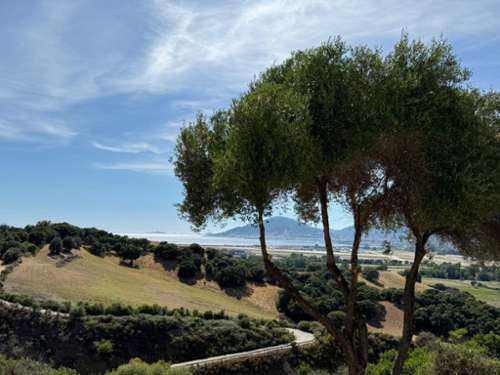 Bastelicaccia Corse-du-Sud appartement foto 7363893