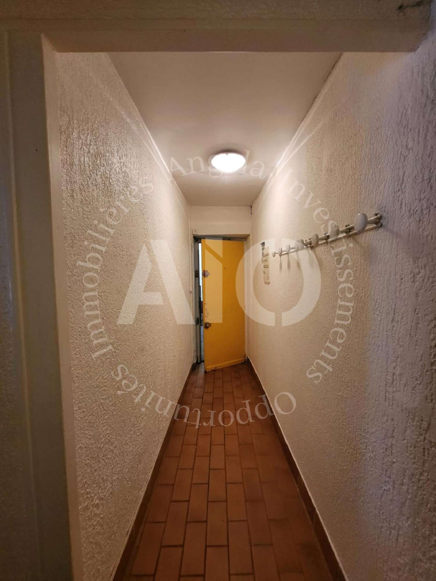 for sale apartment Caluire-et-Cuire Rhône 1