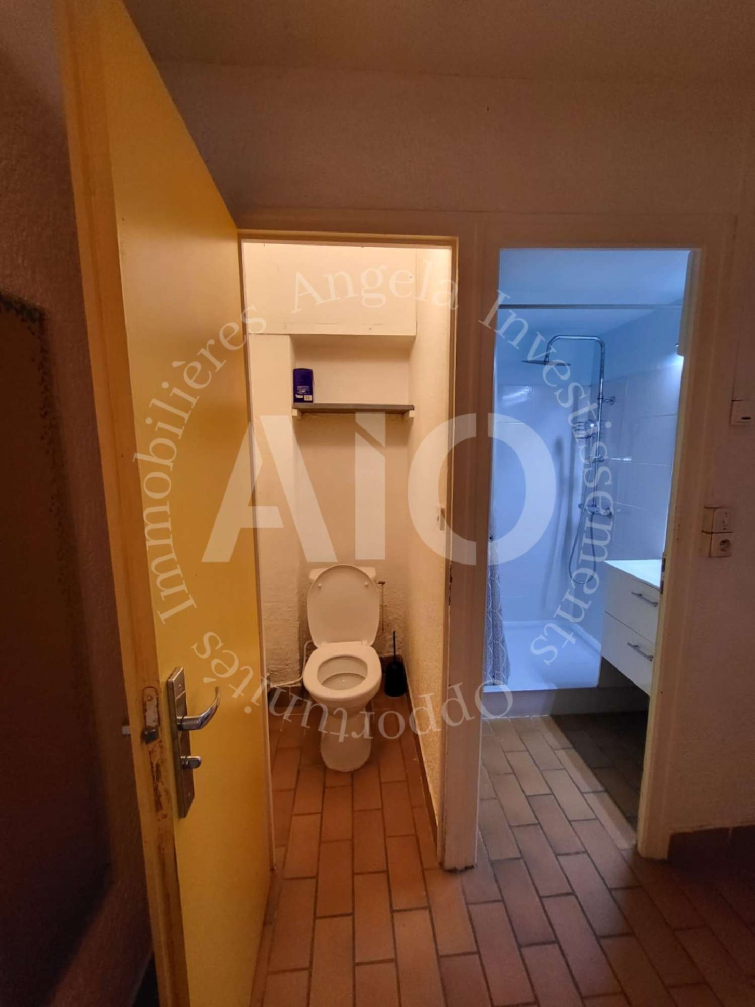 for sale apartment Caluire-et-Cuire Rhône 2