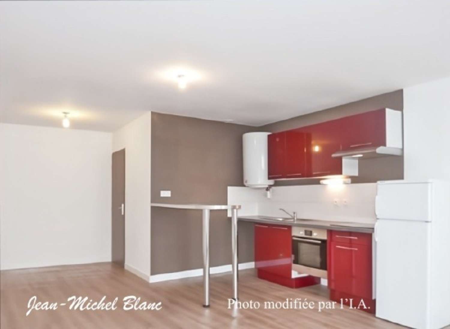 à vendre appartement Caluire-et-Cuire Rhône 4