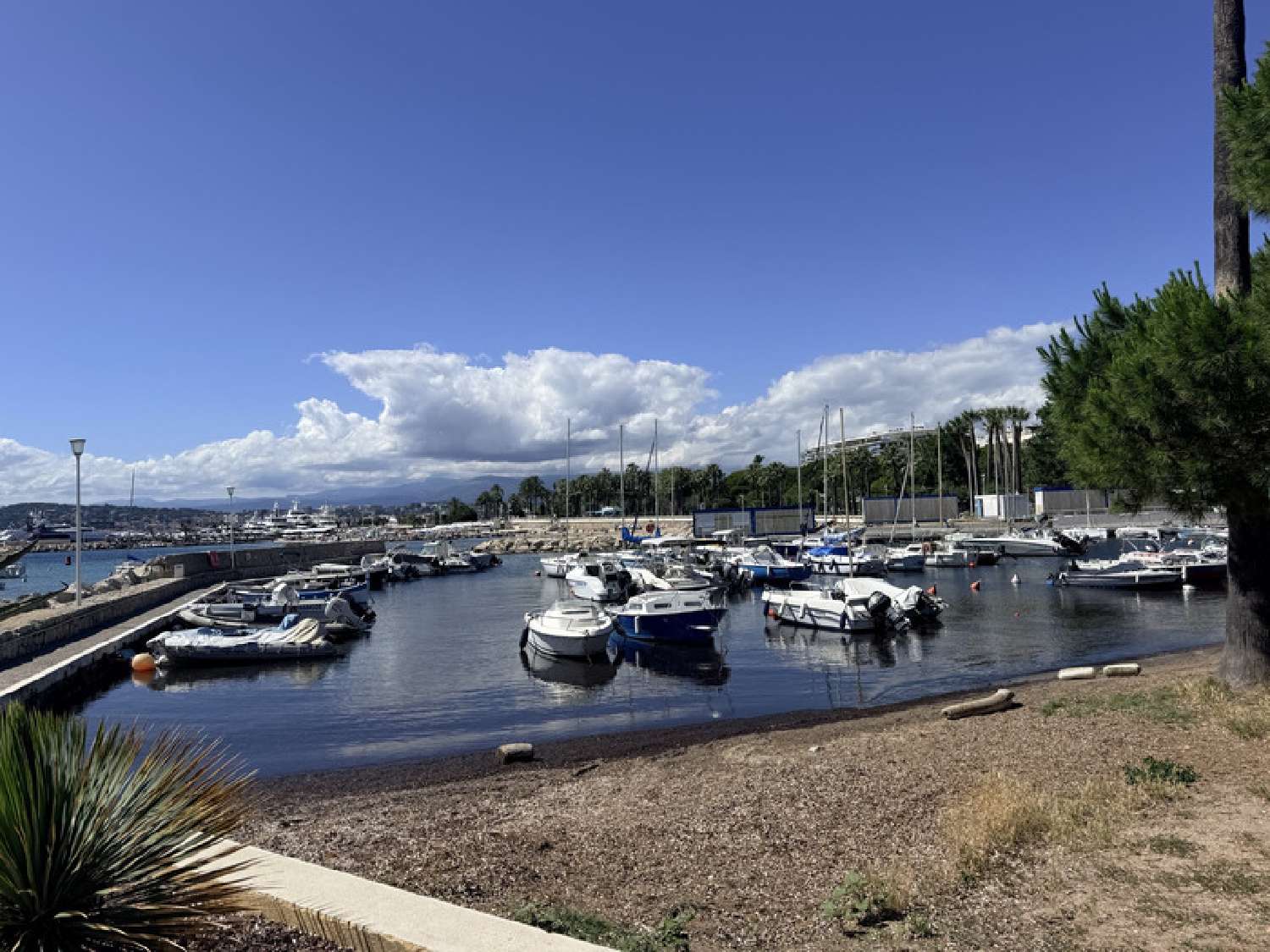 for sale apartment Cannes Alpes-Maritimes 3