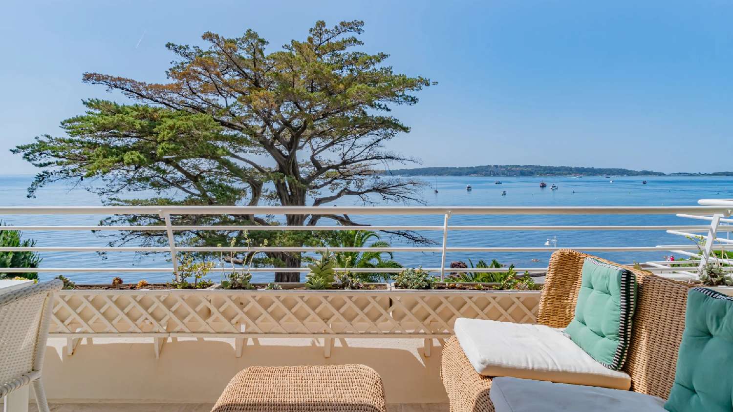 te koop appartement Cannes Alpes-Maritimes 3