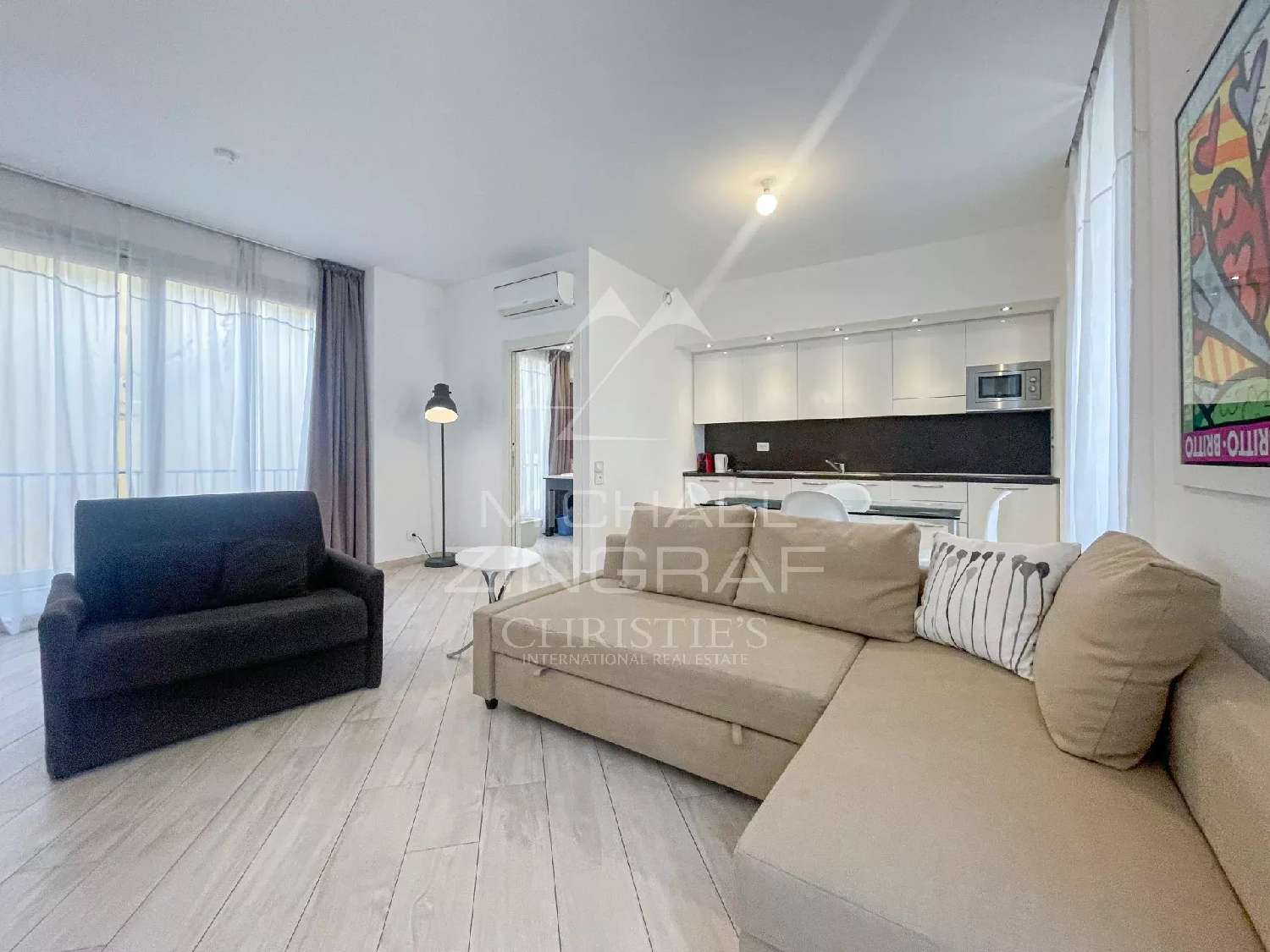  à vendre appartement Cannes Alpes-Maritimes 1