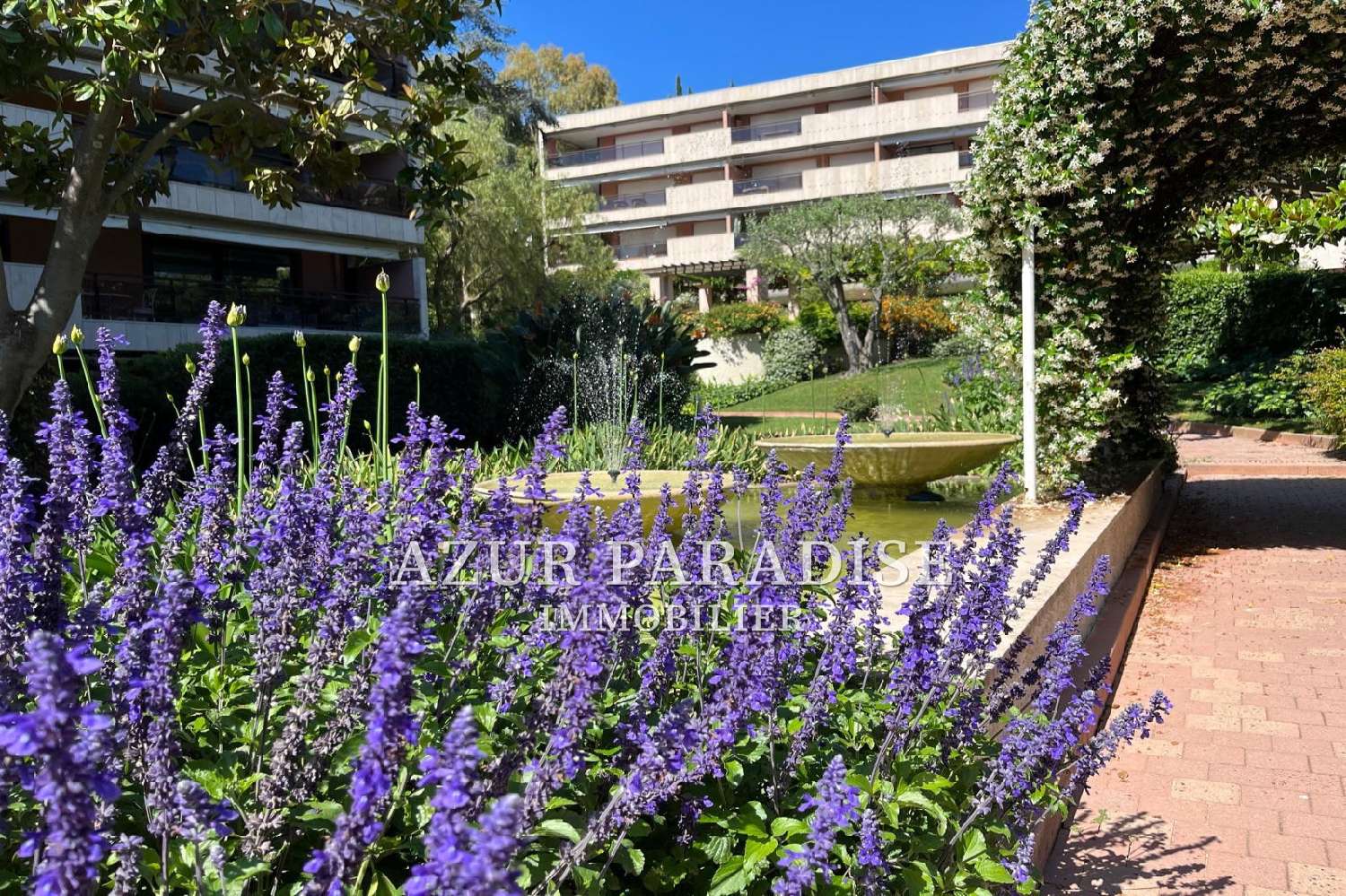  for sale apartment Cannes Alpes-Maritimes 1