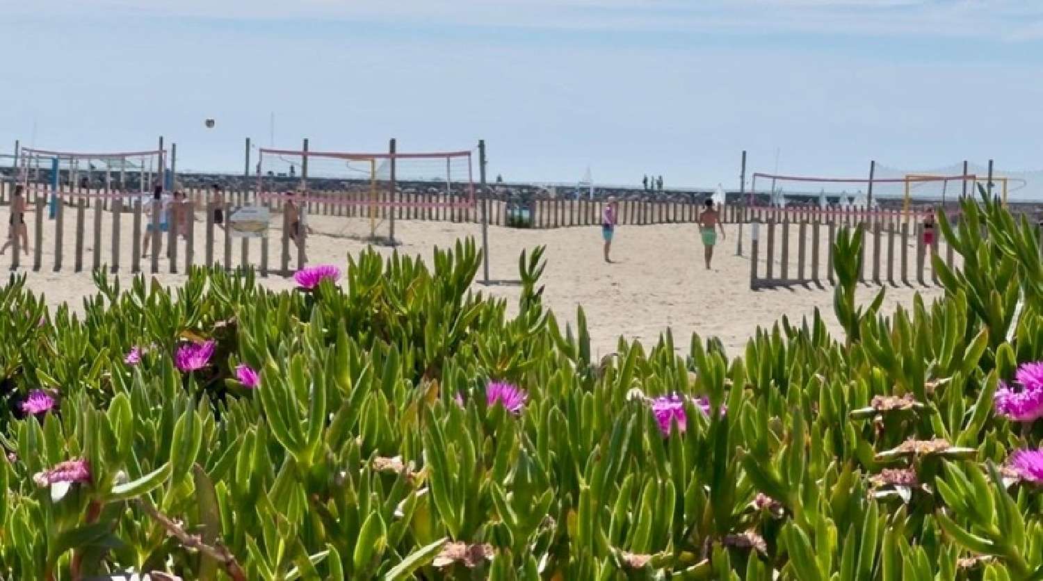 for sale apartment Carnon-Plage Hérault 1